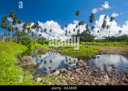 SAMOA SAVAII inland go up country wonderful magnificent grandios ...