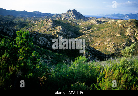 The desolate Desert des Agriates on the north coast of Corsica Stock Photo