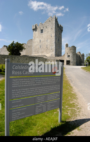 ross castle Killarney Ireland Stock Photo