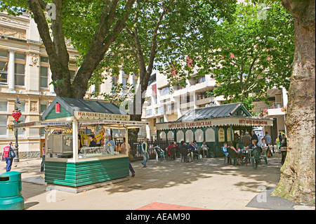 Vendor stands on pedestrian island the Hayes Cardiff city centre Wales UK Stock Photo