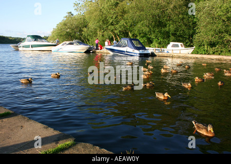 Pleasure boats moored at Castlearchdale on Lough Erne in late evening sunshine, County Fermanagh, Northern Ireland Stock Photo