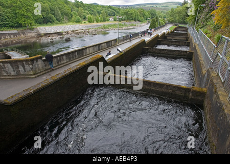 Salmon ladder at Pitlochry hydroelectric dam and power station Scotland UK Stock Photo