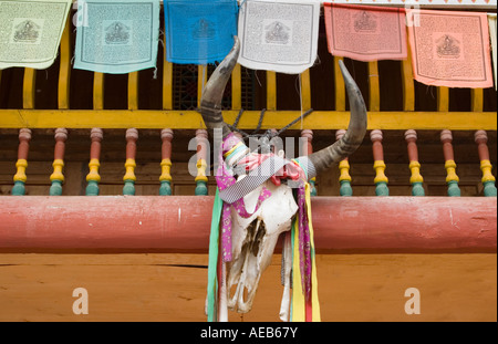 A yak's skull and horn swaddled in Buddhist protective ribbons and mounted at a balcony with prayer pennants in Sichuan, China. Stock Photo