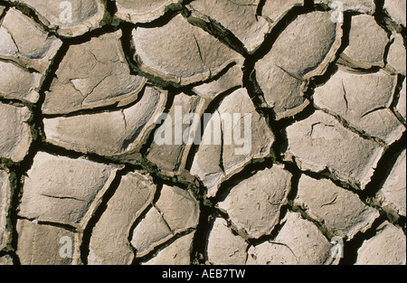 Mud cracks on the shores of Haweswater reservoir during a summer drought, Lake district, UK Stock Photo