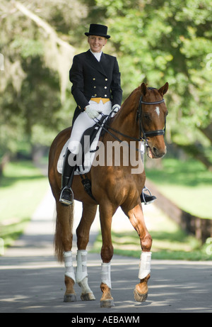 Woman in dressage costume with Warmblood horse Stock Photo