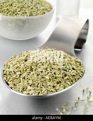 SPOONFUL OF FENNEL SEED Stock Photo