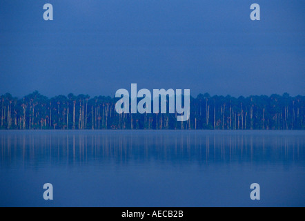 Lake Sandoval in the protected reserved zone Tambopata Peruvian Rainforest Peru South America Stock Photo