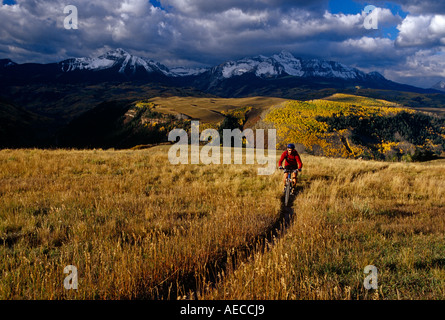 man mountain biking with Wilson Peak in the backround near Telluride, Colorado Stock Photo