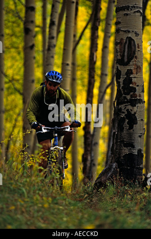 man mountain biking through Aspen forest in fall season, Deep Creek trail, Telluride, Colorado Stock Photo