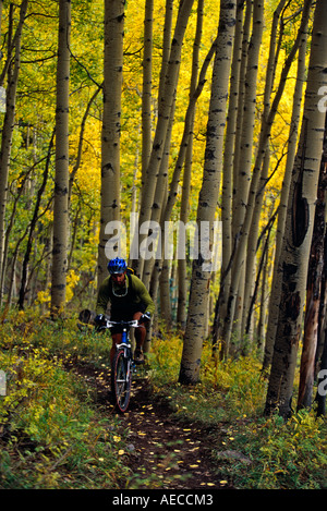 man mountain biking through Aspen forest in fall season, Deep Creek trail, Telluride, Colorado Stock Photo