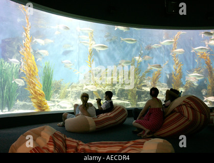 People sitting on beanbags looking at the creatures in the Melbourne Aquarium, Victoria, Australia. Stock Photo