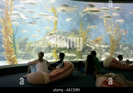 People sitting on beanbags looking at the creatures in the   Melbourne Aquarium, Victoria, Australia Stock Photo