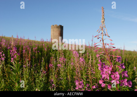 Auchinbaird Windmill between Sauchie and Fishcross, Clackmannanshire. Stock Photo