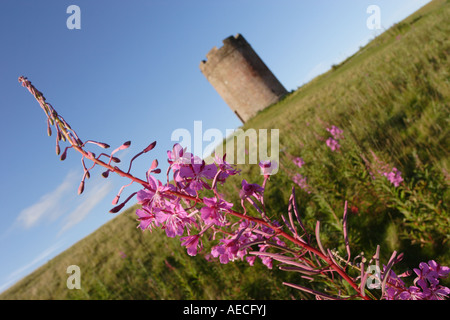 Auchinbaird Windmill between Sauchie and Fishcross, Clackmannanshire. Stock Photo