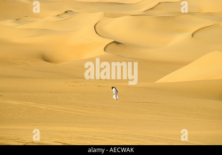 Tuareg in Erg Murzuk desert Sahara Lybia Stock Photo