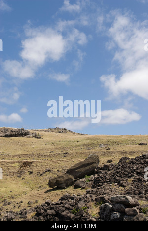 A toppled moai or carved stone figure on Easter Island. Stock Photo