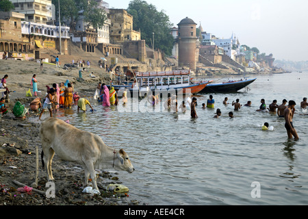Devotees bathing in the River Ganges. Assi Ghat. Varanasi. Uttar Pradesh. India Stock Photo
