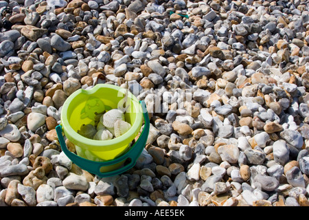 Fossils collected on the beach at Bracklesham Bay West Sussex Stock Photo