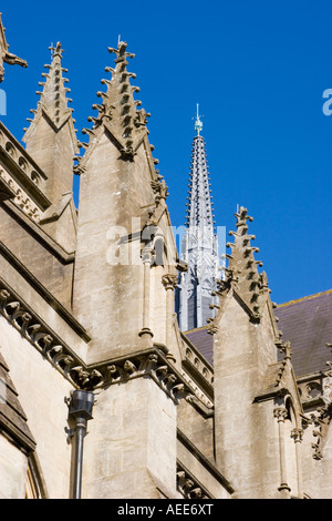 The cathedral of Our Lady and St Phillip Howard in Arundel West Sussex Stock Photo