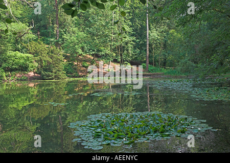 Secluded tree lined pond with water lilies Family picnic Abbots Pond ...