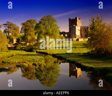 Ruins of tintern abbey, a castle on a sunny day with reflection in a river running through the foreground and trees surrounding the walls Stock Photo