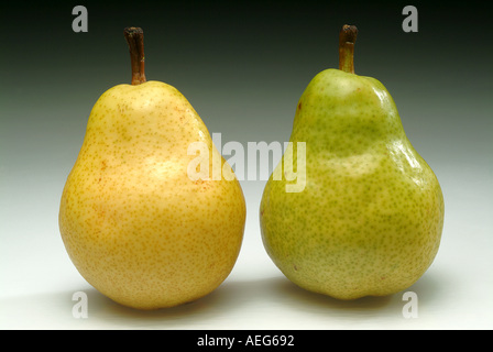 Fruits Vegetables pear pears stem sitting upright yellow yellowish green greenish food fruit Stock Photo