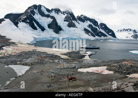 tourists check out a gentoo penguin Pygoscelis Papua colony along the ...