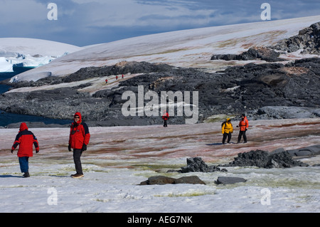 Tourists check out a gentoo penguin Pygoscelis Papua colony on Booth Island Port Charcot western Antarctic peninsula Antarctica Stock Photo