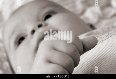 Baby ying hand detail closeup close up close up cute rosy cheeks staring fingers finger small knuckles black white b w person Stock Photo