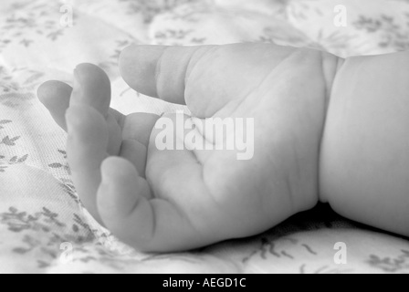 Baby hand detail closeup close up close up cute rosy cheeks staring white fingers finger small knuckles person people kid child Stock Photo
