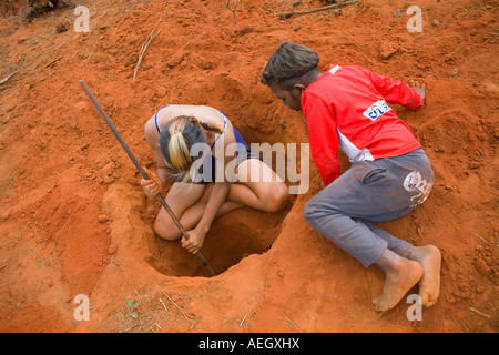 Aboiginal children from Yipirinya School Alice Springs dig for Honey Ants near Mt Everard, Northern Territory, Australia Stock Photo