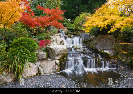 are dogs allowed in kyoto garden