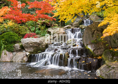 The Kyoto Garden Japanese style garden Holland park Kensington London Stock Photo