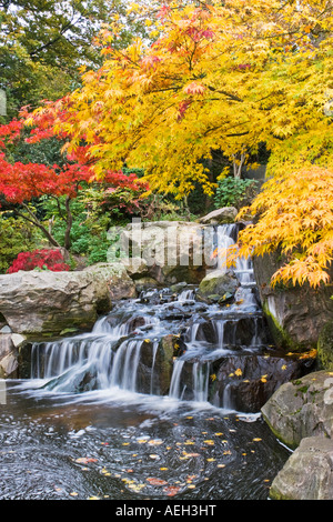 The Kyoto Garden Japanese style garden Holland park Kensington London Stock Photo