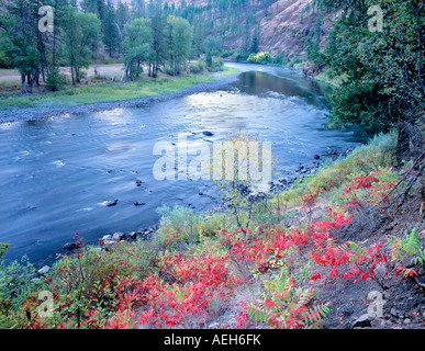 Grande Ronde River with red fall colored Sumac Near Troy Oregon Stock Photo