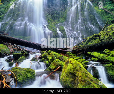 Closeup of Proxy Falls Three Sisters Wilderness Willamette National Forest Oregon