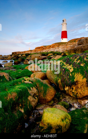 Portland Bill lighthouse at dawn taken from the foreshore amongst the treacherous headland rocks with the sea at low tide Stock Photo