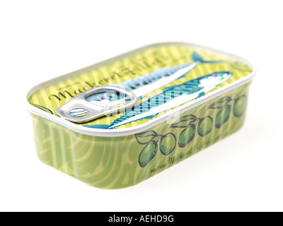 Canned Mackerel Fillets Stock Photo