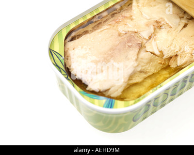 Canned Mackerel Fillets Stock Photo