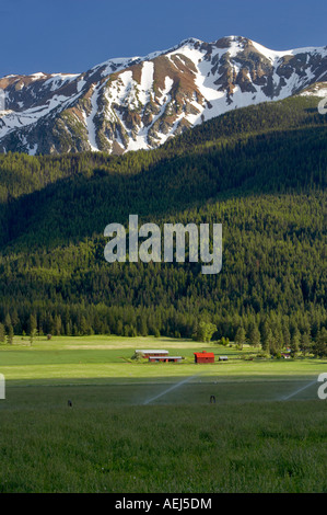 Farmland near Joseph with barn and Wallowa Mountains Oregon Stock Photo