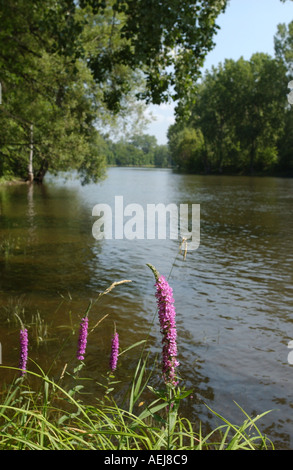 River DES PRAIRIES in Montreal Quebec Stock Photo