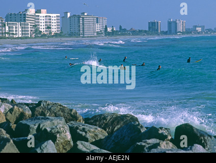 venice beach florida usa showing surfers Stock Photo