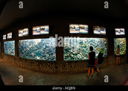 Aquarium in Palmitos Park GRAN CANARIA Canary Islands Spain Stock Photo ...