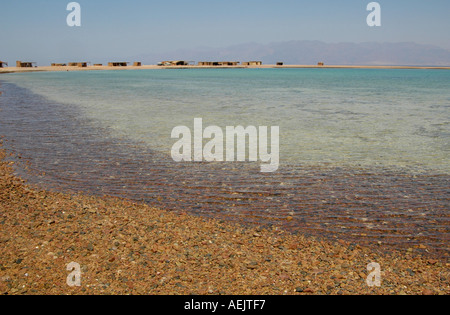 Lodging straw huts at the National Nature Reserve of Ras Abu Galum also Ras Abu Galoum or Ras Abu Gallume in the Red Sea Sinai Peninsula Egypt Stock Photo