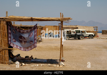 Lodging straw huts in a Bedouin style resort camp in Ras Abu Galum also Ras Abu Galoum or Ras Abu Gallume at the Red Sea coast Sinai Peninsula Egypt Stock Photo