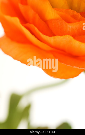 Artificial Flower. Detail from dummy bloom of milled cloth Stock Photo