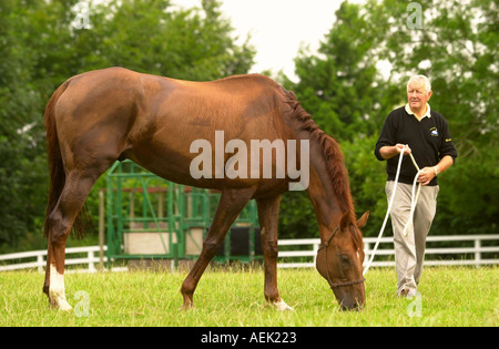 PERSIAN PUNCH GRAZING WITH TRAINER DAVID ELSWORTH AT THE WHITSBURY MANOR STABLES NEAR SALISBURY JULY 2003 UK Stock Photo
