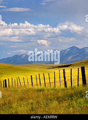 Pasture in Zumwalt Prairie with fence and Wallowa Mountains Oregon