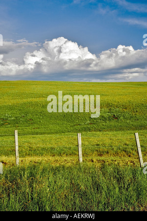 Pasture in Zumwalt Prairie with fence Oregon