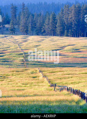 Long fence line in pasture Zumwalt Prairie Oregon